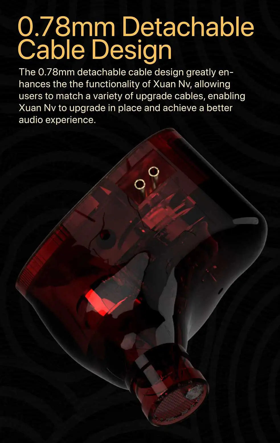 TANGZU Xuan Nv IEM – Dual Dynamic HiFi In-Ear Monitors with 2Pin Cable