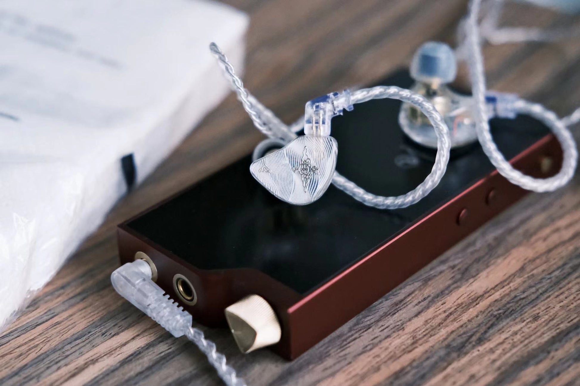 Tangzu WAN ER SG 2022 New 10mm Dynamic Driver Earphone IEM